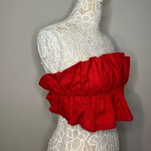 Saints+Secrets Strapless red crop top